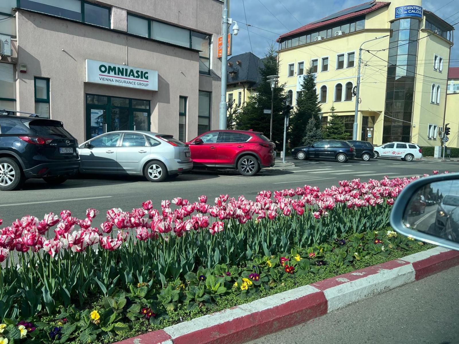 Central-Home Târgu Jiu 외부 사진