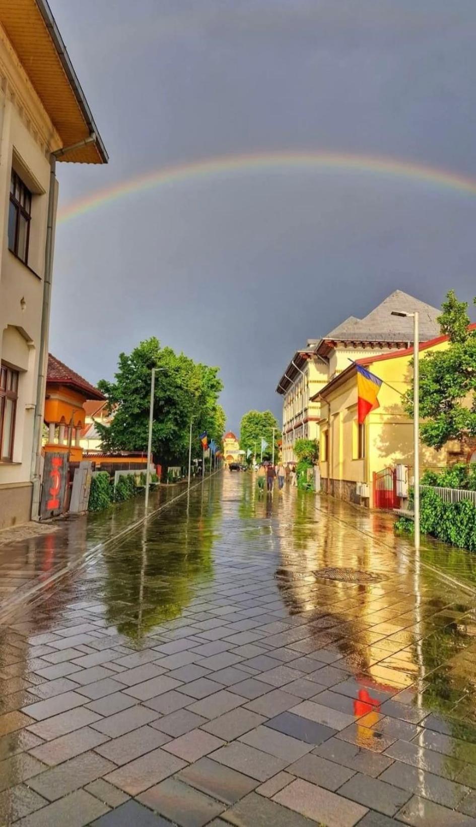 Central-Home Târgu Jiu 외부 사진